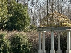 -合肥滨湖国家森林公园