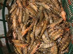 -海峡水产品交易中心(海鲜交易区)