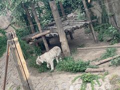 -北京海洋馆