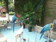 -陕西自然博物馆