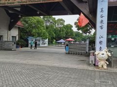 -上海海湾国家森林公园