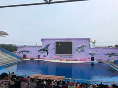 -北戴河圣蓝海洋公园