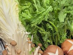 -禄婶鸡煲·打边炉