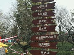 -秀丽东方