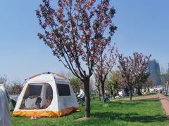 -上海山野camping·户外天幕烧烤·团建拓展营地