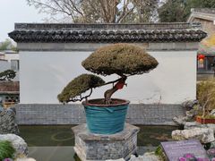 -水绘园