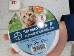 -佳雯宠物医院(金华南路分院)