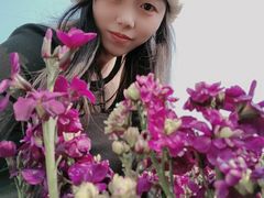-秀丽东方