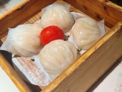 悦满楼虾饺皇-悦满楼·西关名点·湛江名菜(航空综合大厦店)