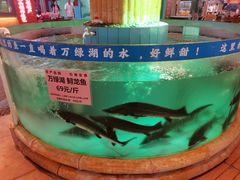 -年辉渔村·非遗传承餐厅(新丰江店)