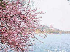 -颐和园