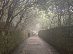 -普陀山慧济禅寺