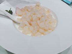 清炒野生河虾仁-圆苑(上海广场店)