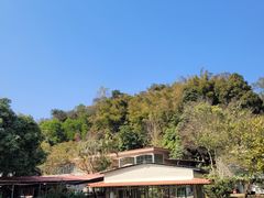 -桃园美食(水库路店)