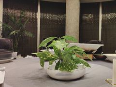 -上海精菜馆(虎踞关店)