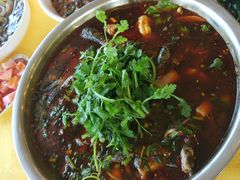 -胖大姐黄辣丁鱼庄(新津店)