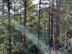 -白草畔自然风景区