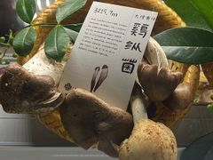 -滇野云南野生菌餐厅(陕西南路店)