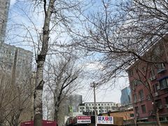 -董小西的凉皮和椒麻鸡(三元桥店)