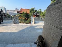 -宝通禅寺