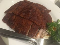 -食为先(Shark Fin)