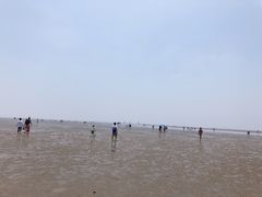-碧海金沙