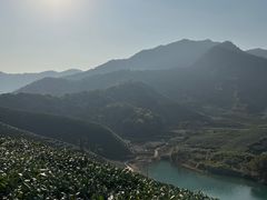 -龙坞茶村