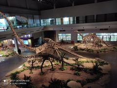 -自贡恐龙博物馆