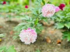 -江南大学(蠡湖校区)