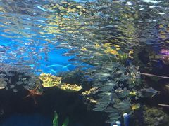 -华夏文旅海洋公园