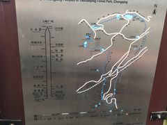 -铁山坪森林公园