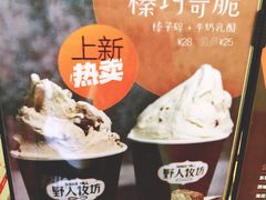 -野人先生现做冰淇淋(北京顺义祥云小镇店)