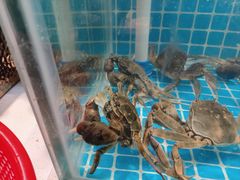-韩胜·料理级自助烤肉海鲜火锅(财富港店)
