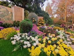 -杭州植物园