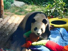 -大连森林动物园