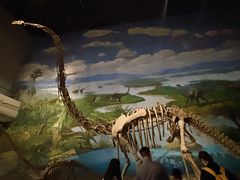-自贡恐龙博物馆