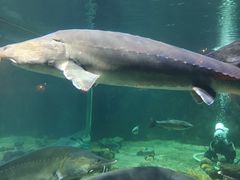 -华夏文旅海洋公园