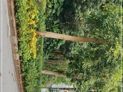 -广州锦绣香江度假别墅