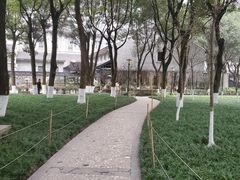 -重庆市江北嘴中央商务区中央公园