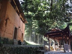 -杨家堂村