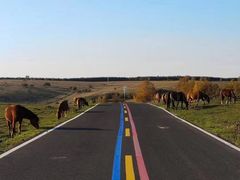 -塞罕坝国家级自然保护区