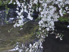 -中国茶叶博物馆(双峰馆区)