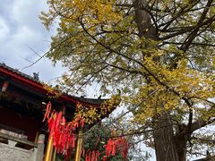 -金堂县云顶石城风景区