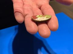 -AZUR聚(香格里拉饭店)