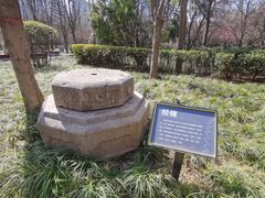 -木塔寺遗址生态公园