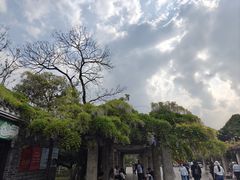 -花溪公园