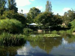 android_upload_pic-墨尔本皇家植物园