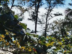 -锦里海景海鲜餐厅.三亚老字号(亚龙湾中心广场店)