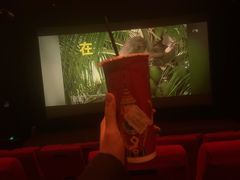 -万达影城(通州万达广场IMAX+杜比影院店)