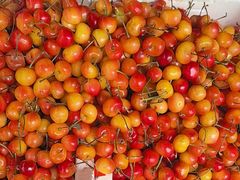 -大连双兴商品城